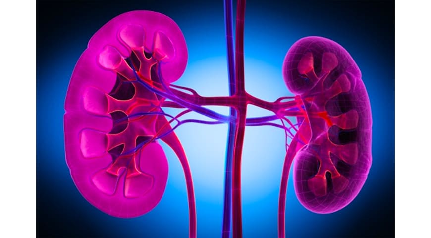 Insuficiencia renal